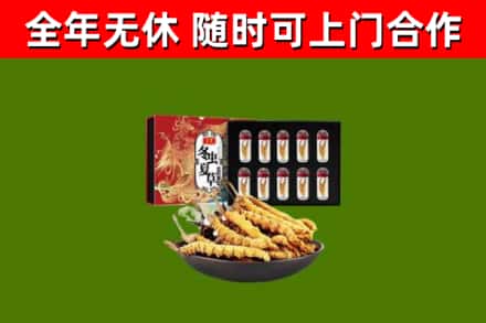 仁怀烟酒回收冬虫夏草礼盒.jpg